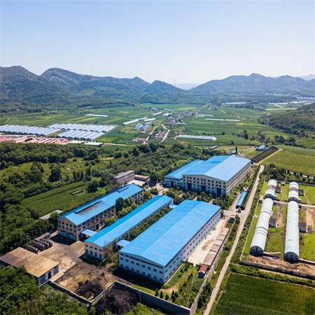 product-800-500 product-800-500